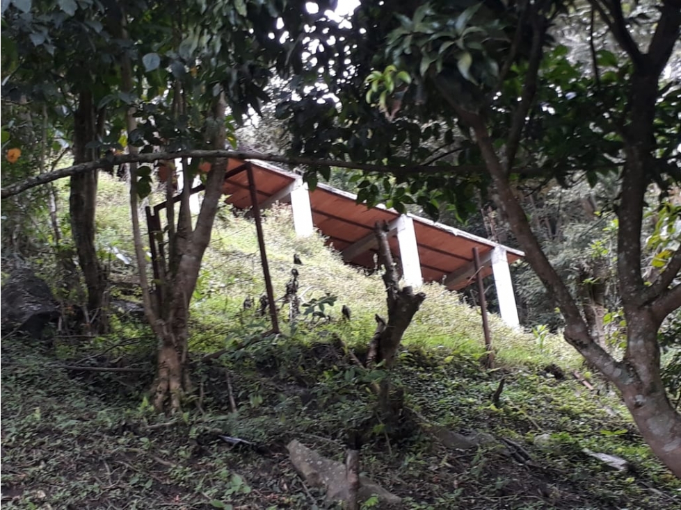 VENDO LOTE EN GIRARDOTA — foto 3