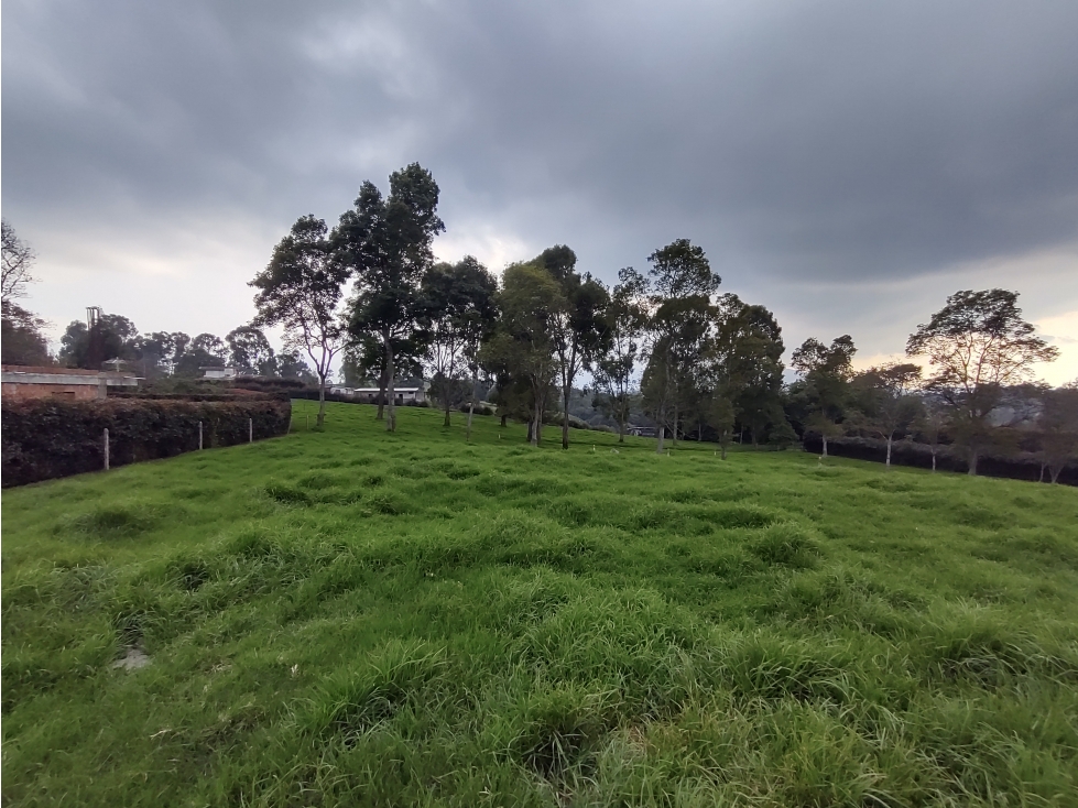 Lote en venta San Pedro de Los Milagros El Tambo — foto 6