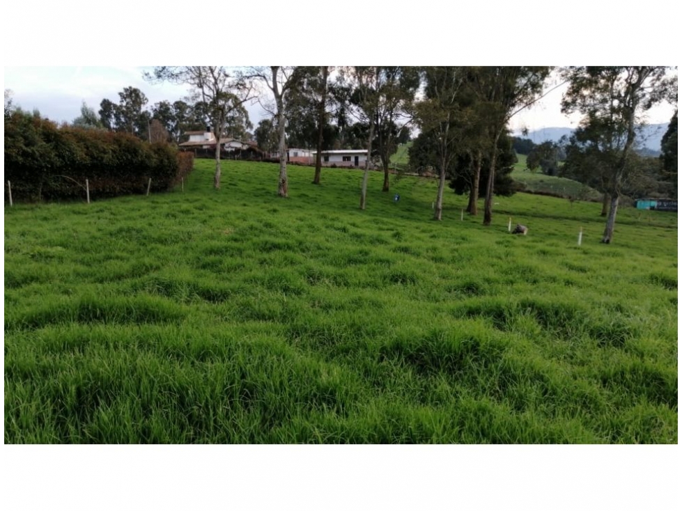 Lote en venta San Pedro Antioquia El Tambo — foto 6