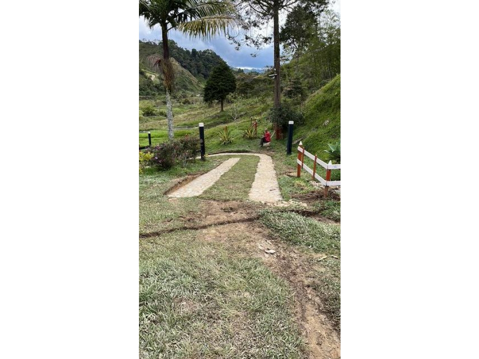Finca agroindustrial en Venta VEREDA LOS PLANES Santo Domingo - 3