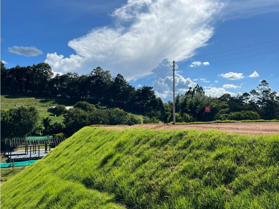 VENTA LOTE CARMEN DE VIBORAL VRDA SANTA ANA 2000 M2 — foto 3