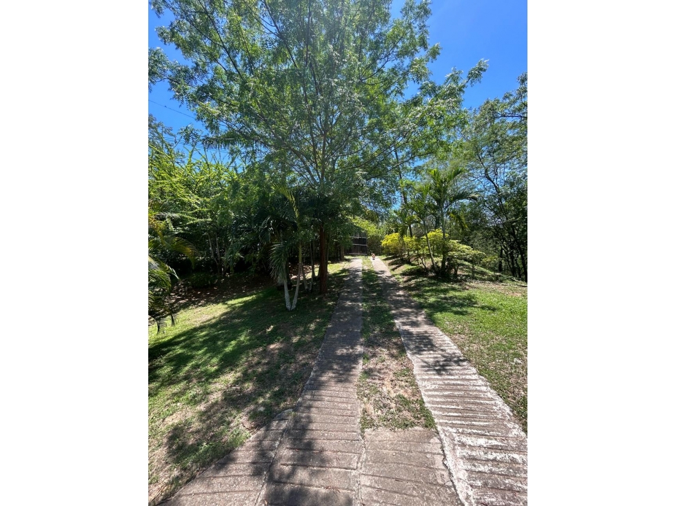 VENDO FINCA EN SANTA FE DE ANTIOQUIA — foto 5