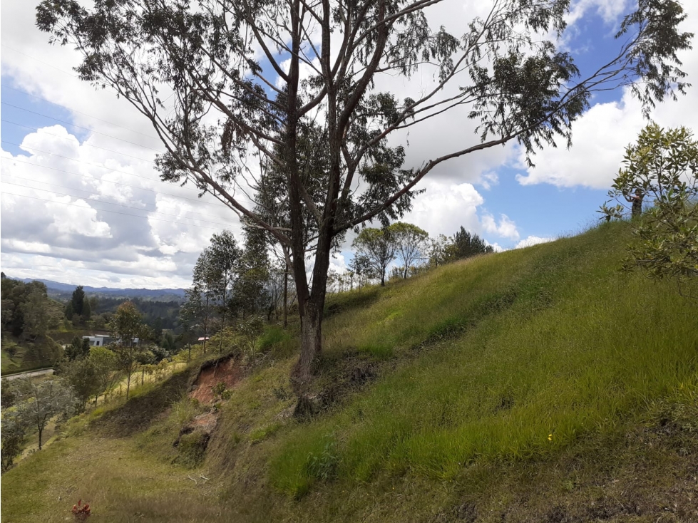 Hermoso Lote en Parcelación, Vereda la Clara — foto 4