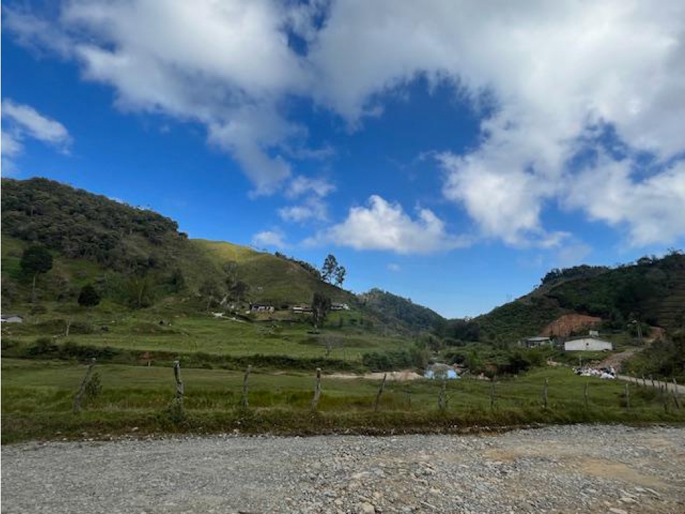 Finca agroindustrial en Venta VEREDA LOS PLANES Santo Domingo - 4