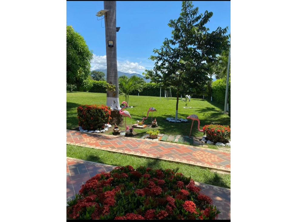 VENDO FINCA EN SANTA FE DE ANTIOQUIA