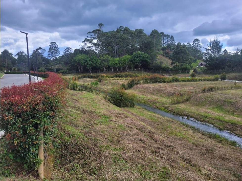 VENTA LOTE CARMEN DE VIBORAL VRDA SANTA ANA 2000 M2 — foto 4