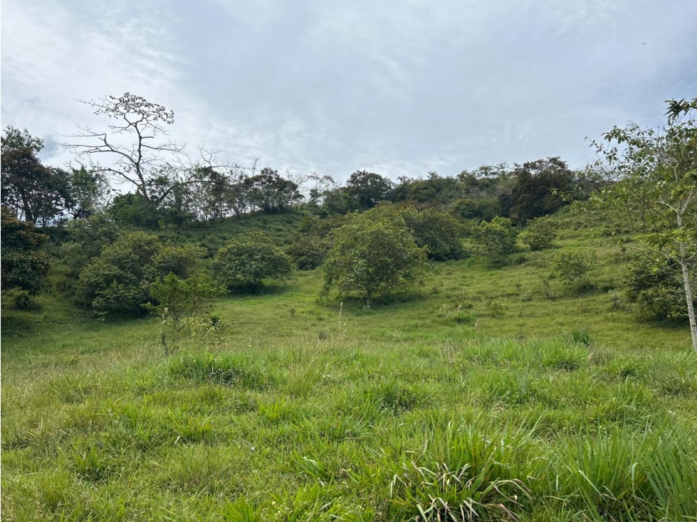 VENTA DE LOTE EN BARBOSA, VEREDA POPALITO — foto 6