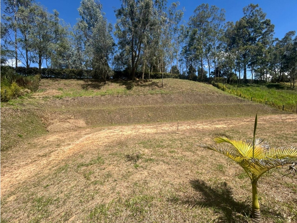 Lote en Venta, San Vicente Ferrer — foto 4
