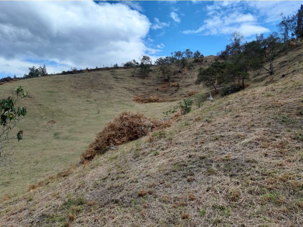 VENDO LOTE GUARNE — foto 5