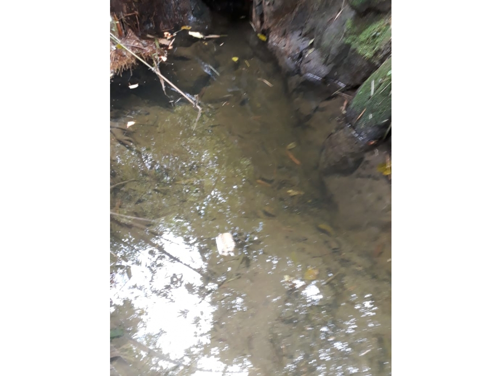 VENDO LOTE EN GIRARDOTA — foto 4