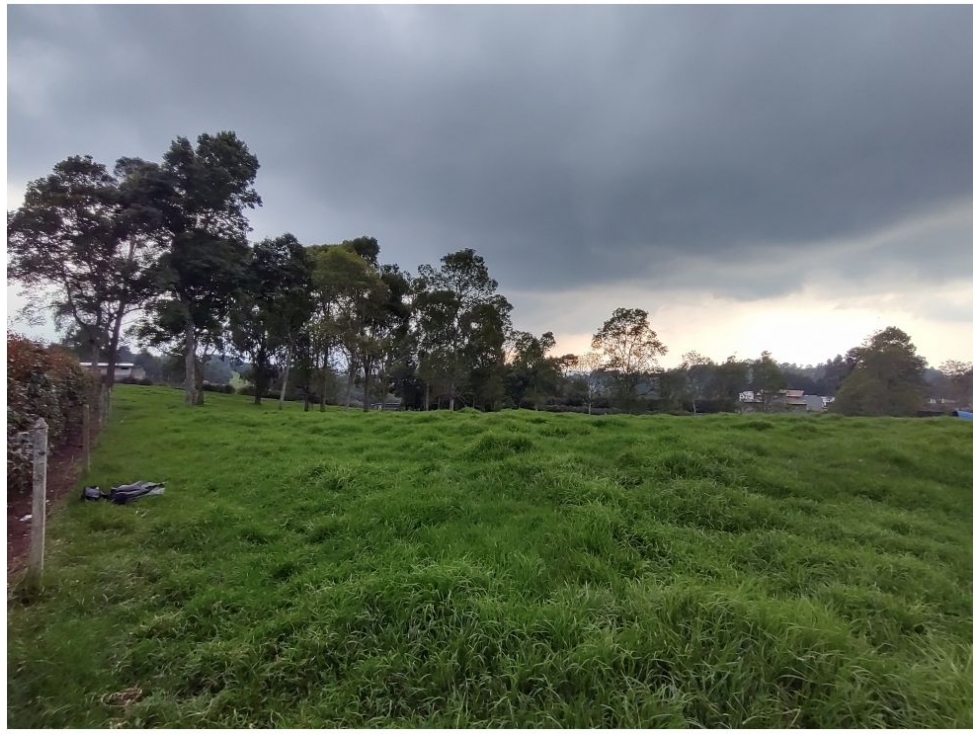 Lote en venta San Pedro Antioquia El Tambo — foto 3