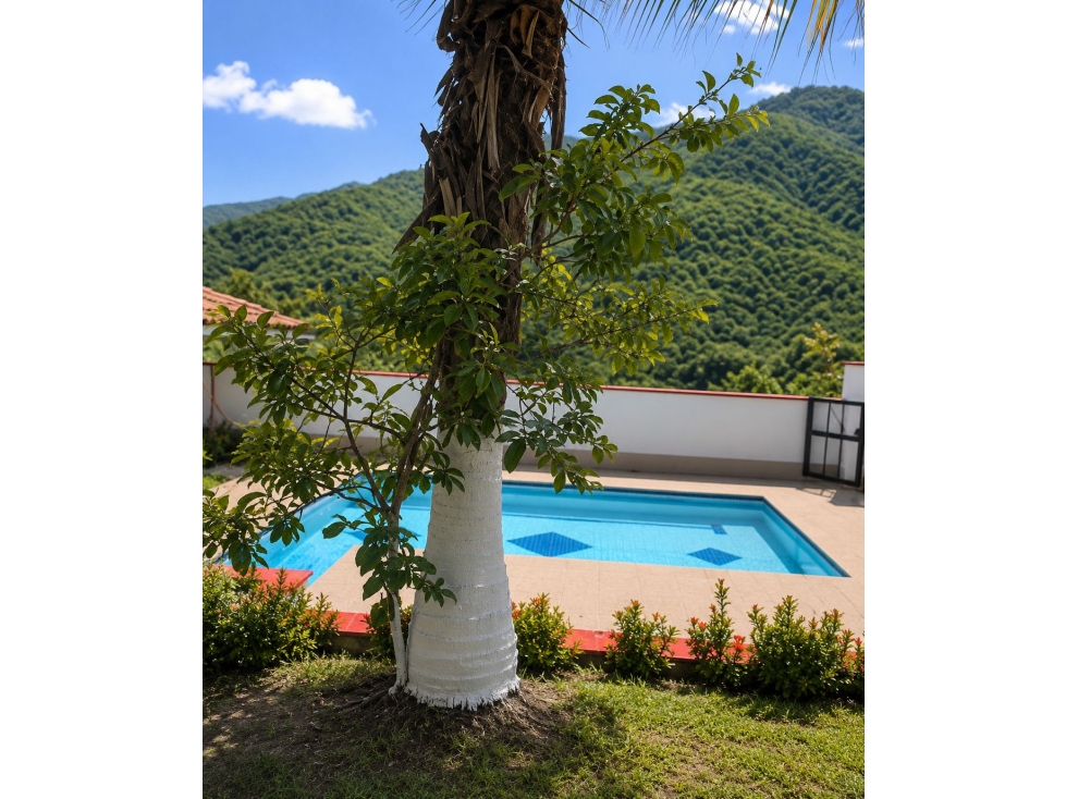 Finca en Parcelación en San Jerónimo a 10 minutos del pueblo — foto 5