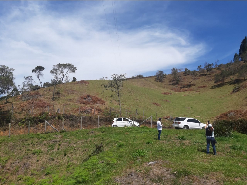 VENDO LOTE GUARNE — foto 6
