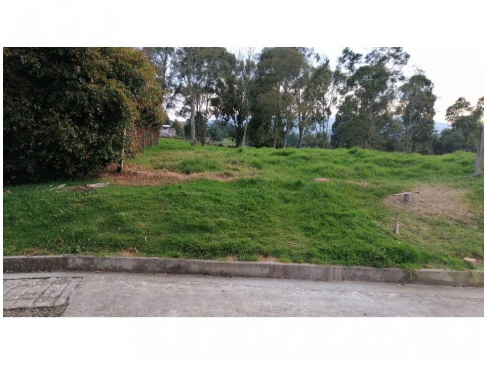 Lote en venta San Pedro Antioquia El Tambo — foto 5