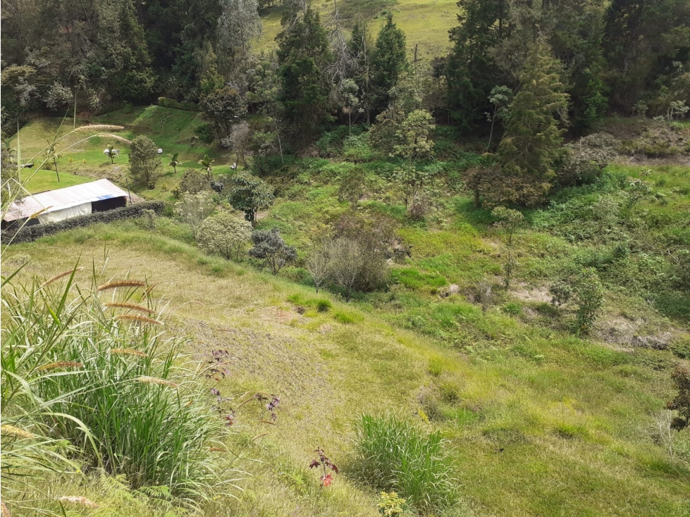 Hermoso Lote en Parcelación, Vereda la Clara — foto 6
