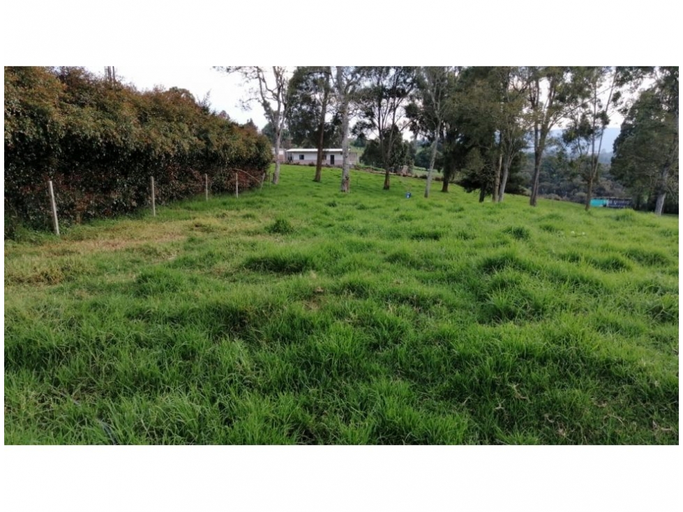 Lote en venta San Pedro Antioquia El Tambo — foto 4