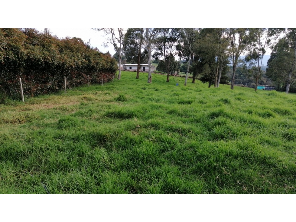 Lote en venta San Pedro de Los Milagros El Tambo — foto 3