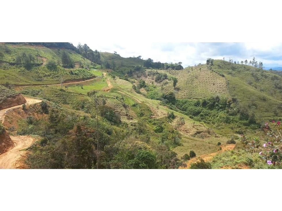 Venta de lotes campestres en la Parcelación La Arandia - 5