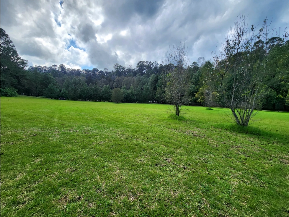 TERRENO EN VENTA EN RANCHO SAN RAMON VALLE DE BRAVO
