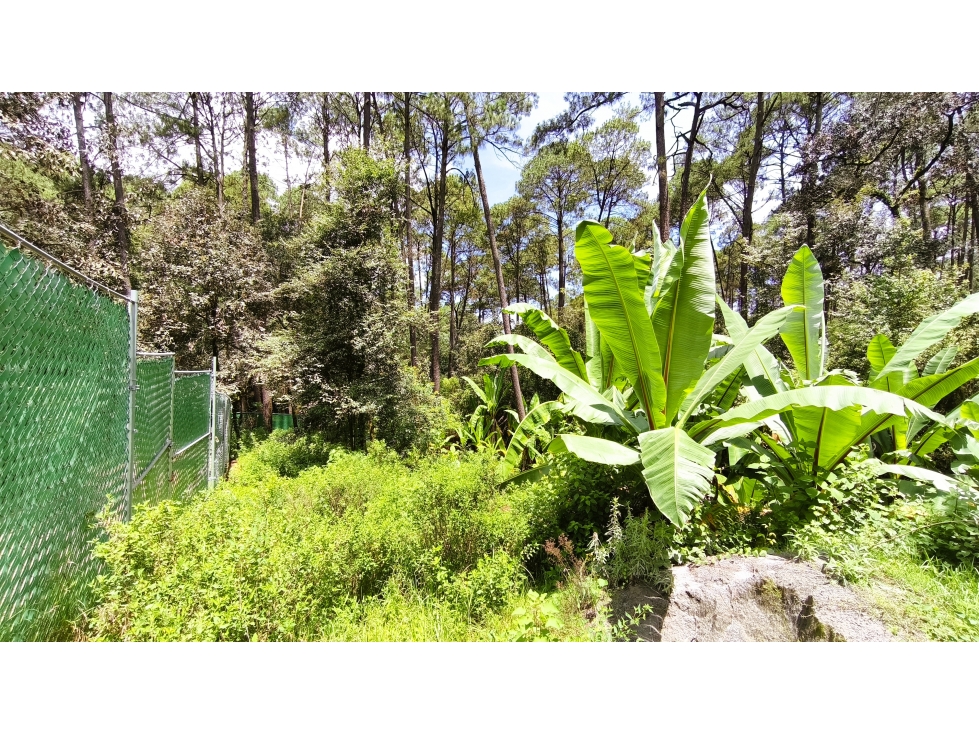 TERRENO EN VENTA EN MESA DE JAIMES, AVANDARO VALLE DE BRAVO