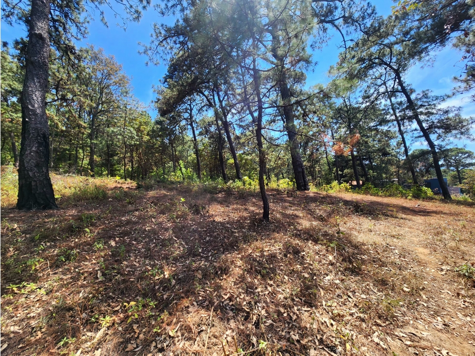 Terreno en venta en Valle de Bravo — foto 2
