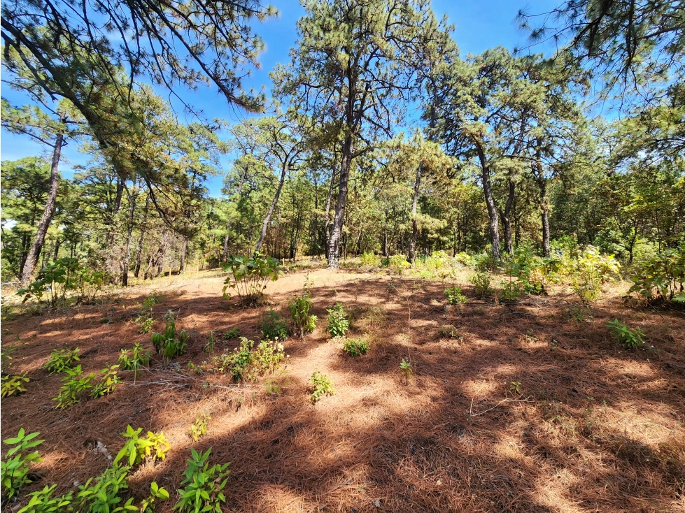 Terreno en venta en Valle de Bravo — foto 3