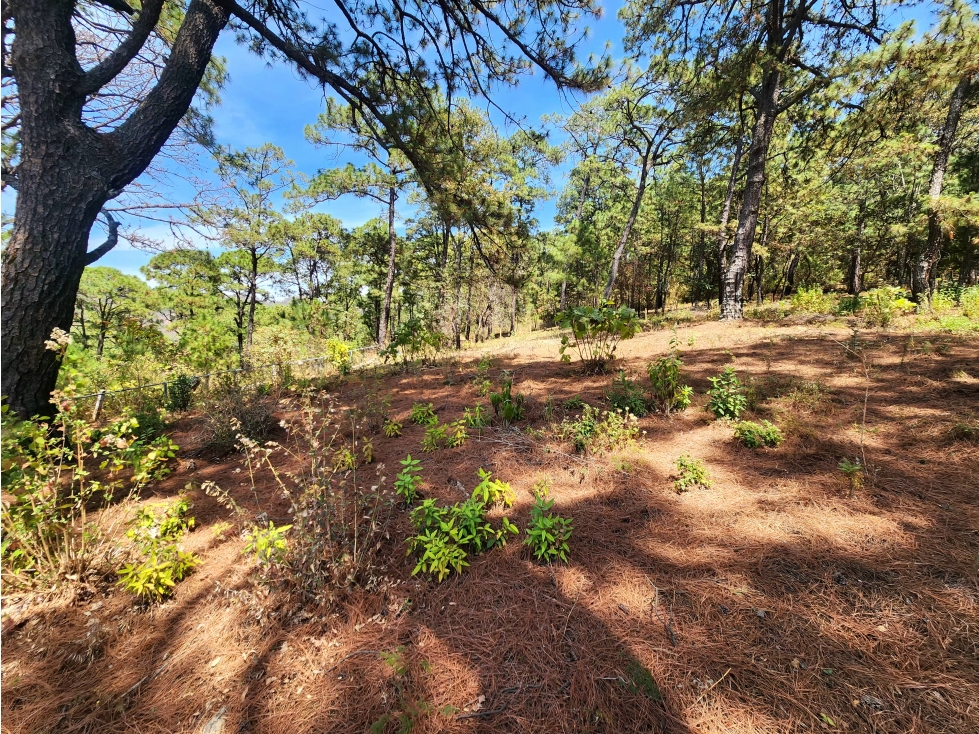 Terreno en venta en Valle de Bravo — foto 4