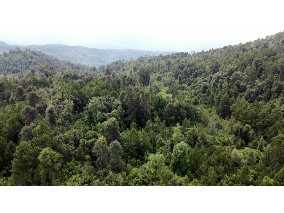TERRENO EN VENTA EN MESA RICA VALLE DE BRAVO