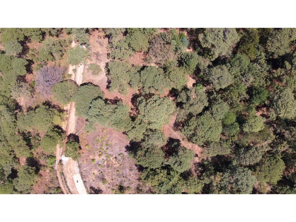 Terreno en venta en Valle de Bravo