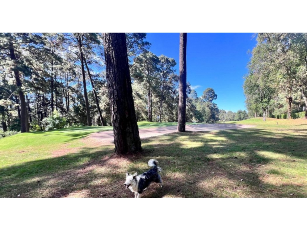 TERRENO EN VENTA, RANCHO AVÁNDARO