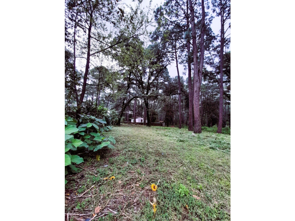 Venta de Terreno en Avándaro — foto 6