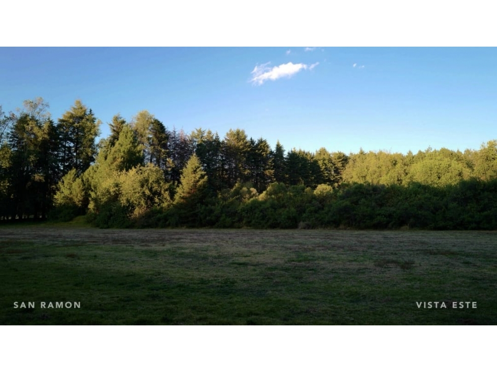 TERRENO EN VENTA EN RANCHO SAN RAMON VALLE DE BRAVO
