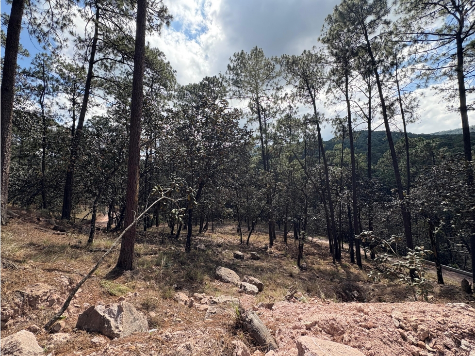 Terreno en Fraccionamiento "El Alto Avandaro" — foto 2