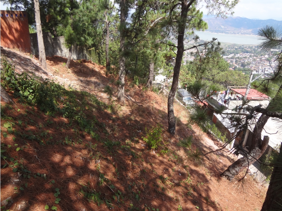 TERRENO EN VENTA CON VISTA AL LAGO EN VALLE DE BRAVO