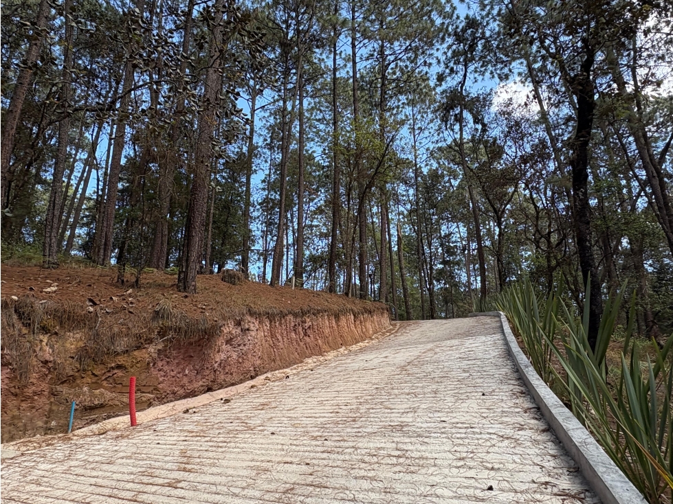 Terreno en Fraccionamiento "El Alto Avandaro" — foto 3