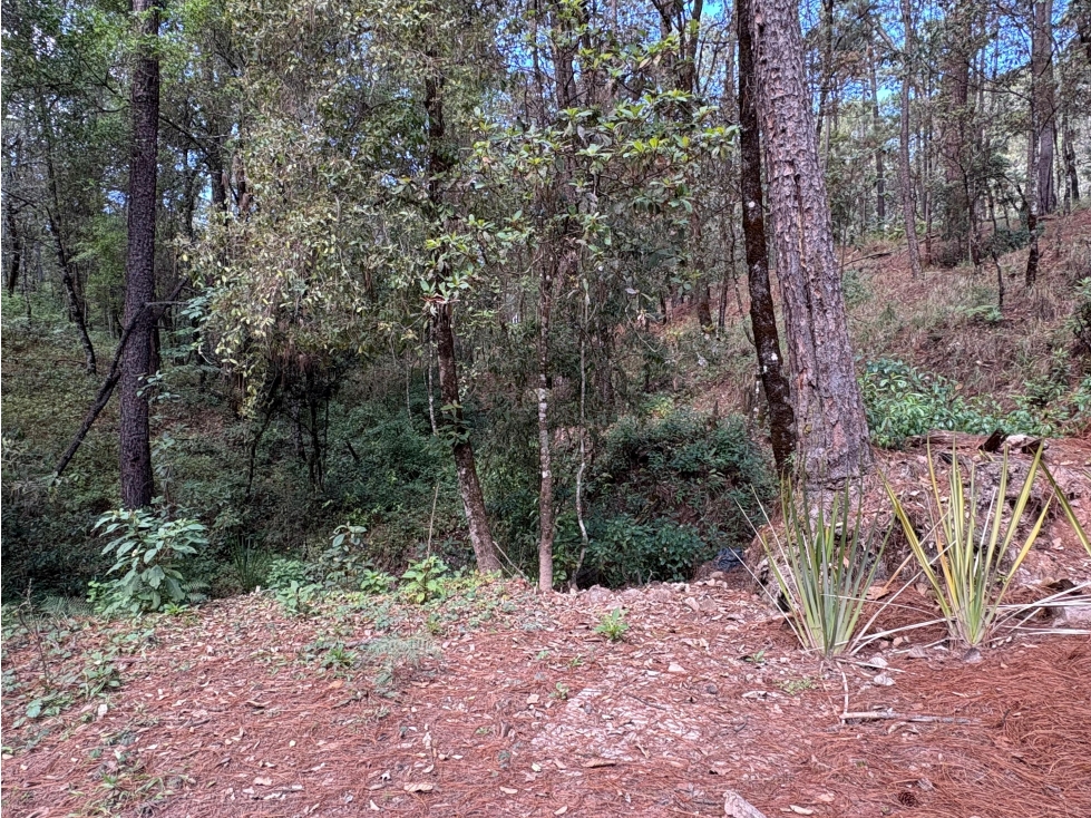 Terreno en Fraccionamiento "El Alto Avandaro" — foto 5