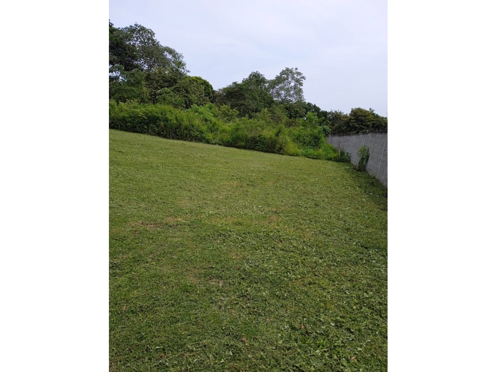 Terreno en Venta Río Hato, Provincia de Coclé, Distrito de Antón - 1