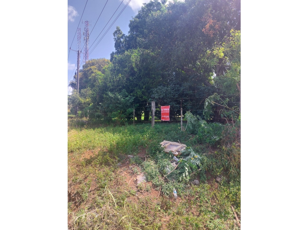 TERRENO PARA DESARROLLO INMOBILIARIO EN LA CHORRERA, PANAMA - 5