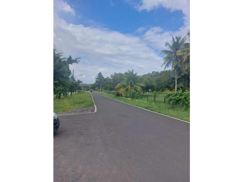 TERRENO PARA DESARROLLO INMOBILIARIO EN LA CHORRERA, PANAMA - 6