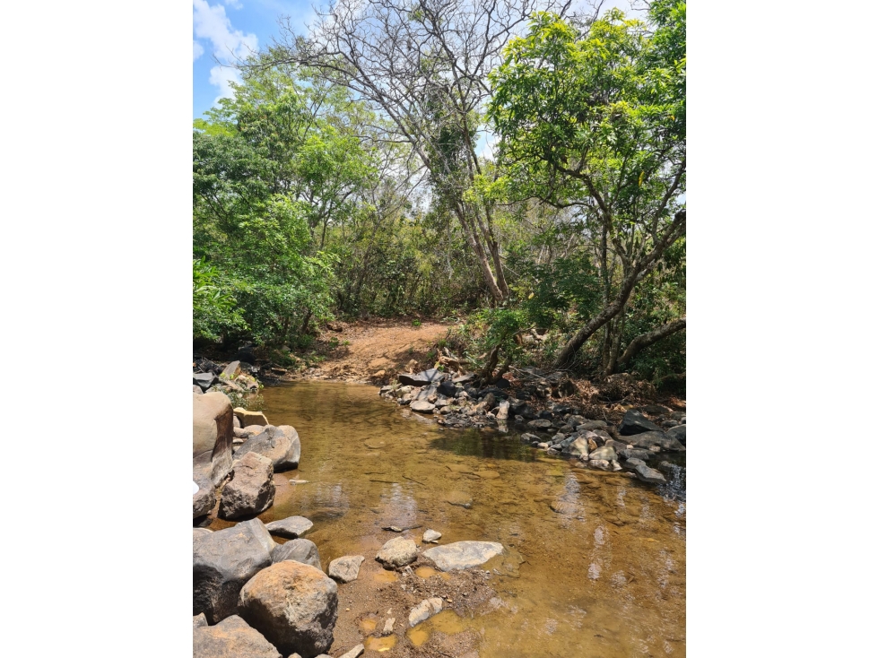 Se vende 32 hectáreas en Calobre, Veraguas, Panamá - 2