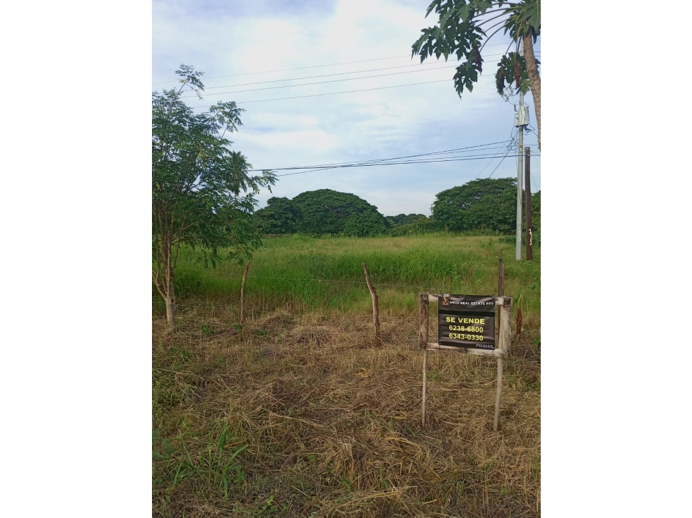 Se vende terreno frente a calle principal en Los santos Panamá - 2