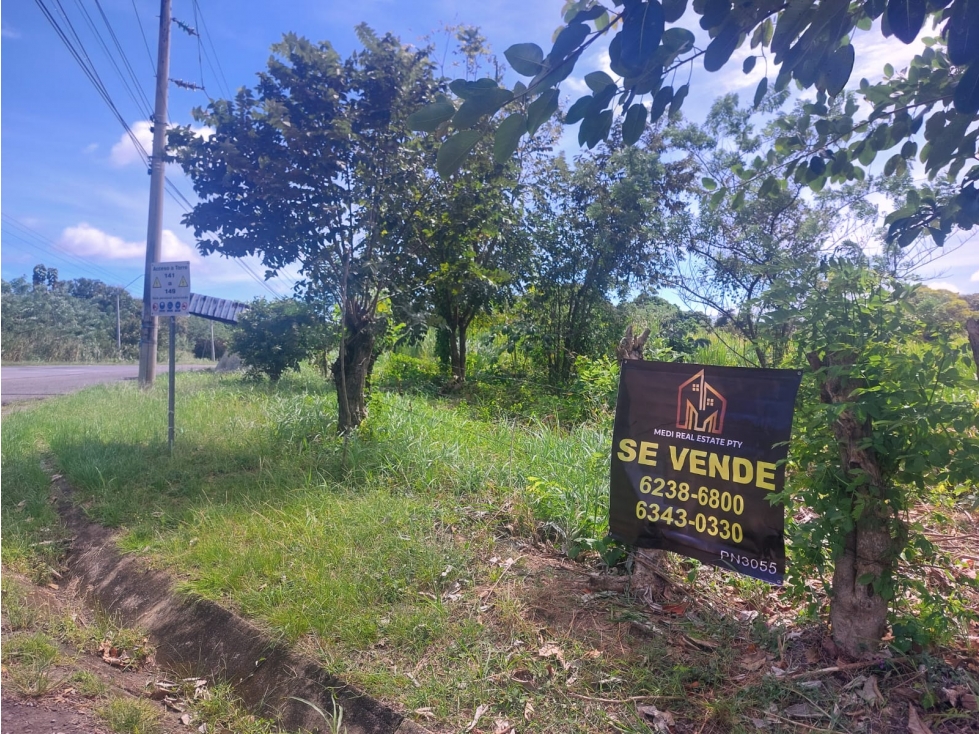 11 has + 3015.35m2 para desarrollo en Santa María, Penonomé - 1