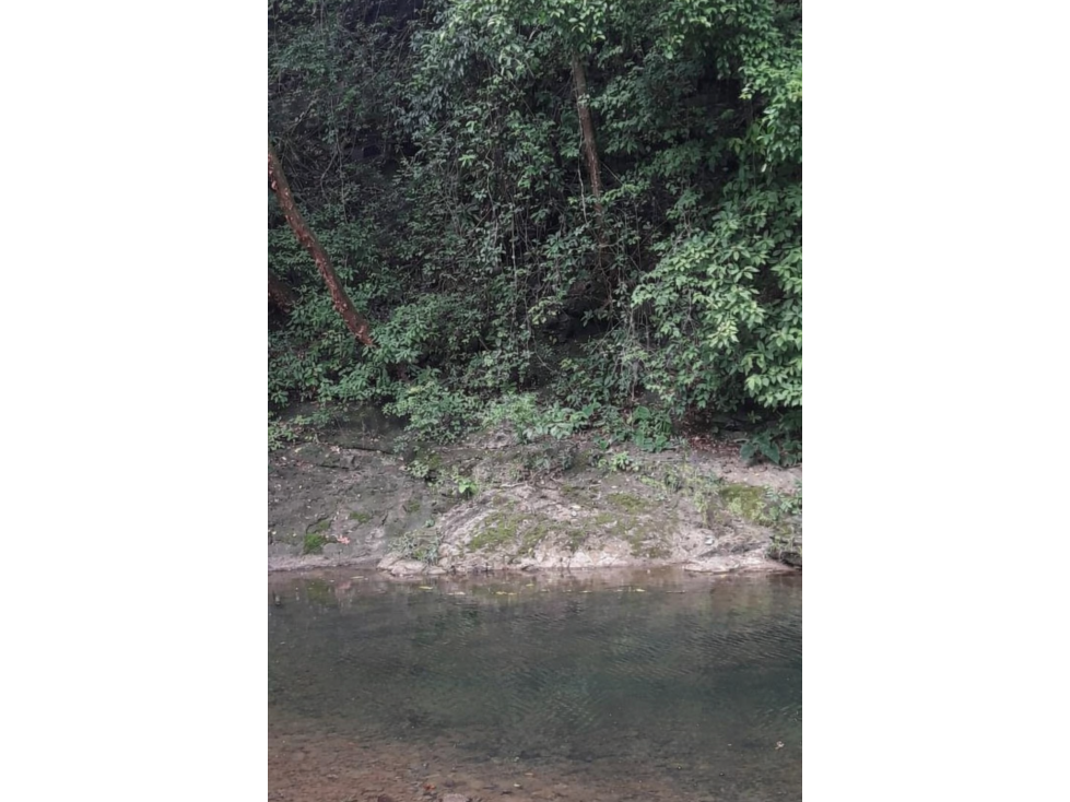 Venta de Espectacular Finca de 25 Hectáreas en Tanara! Panamá - 2