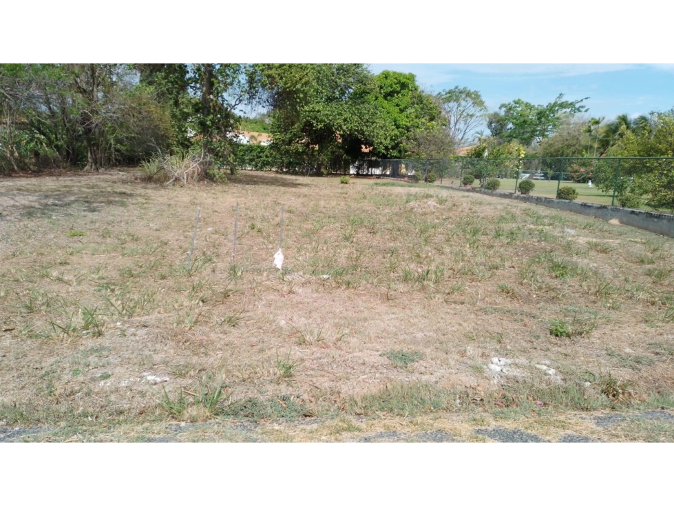 TERRENO EN CORONADO — foto 4