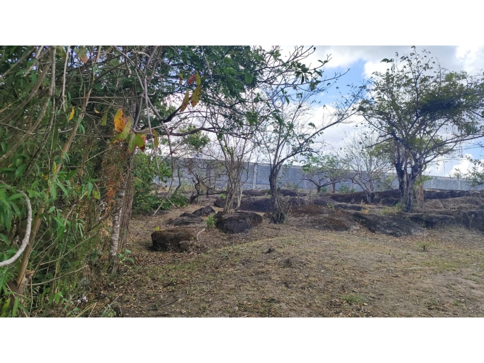 ¡OPORTUNIDAD DE INVERSIÃN EN COLONCITO, NUEVA GORGONA CHAME — foto 2