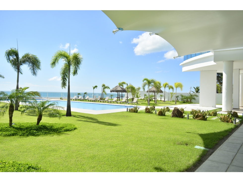 ROYAL PALM Playa Gorgona — foto 6