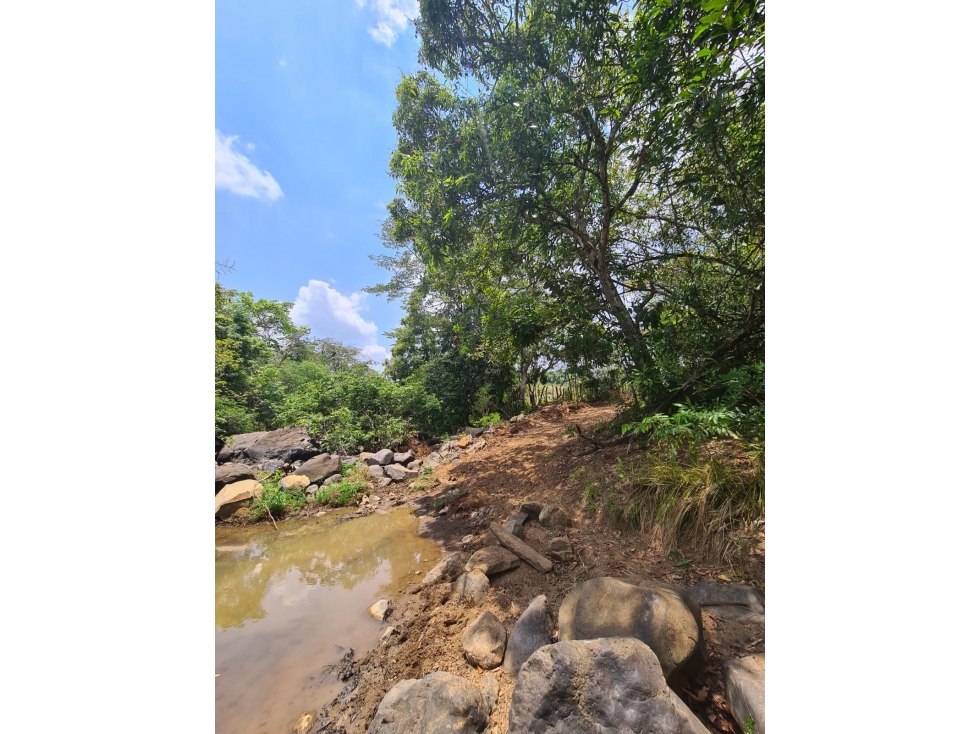 Se vende 32 hectáreas en Calobre, Veraguas, Panamá - 3