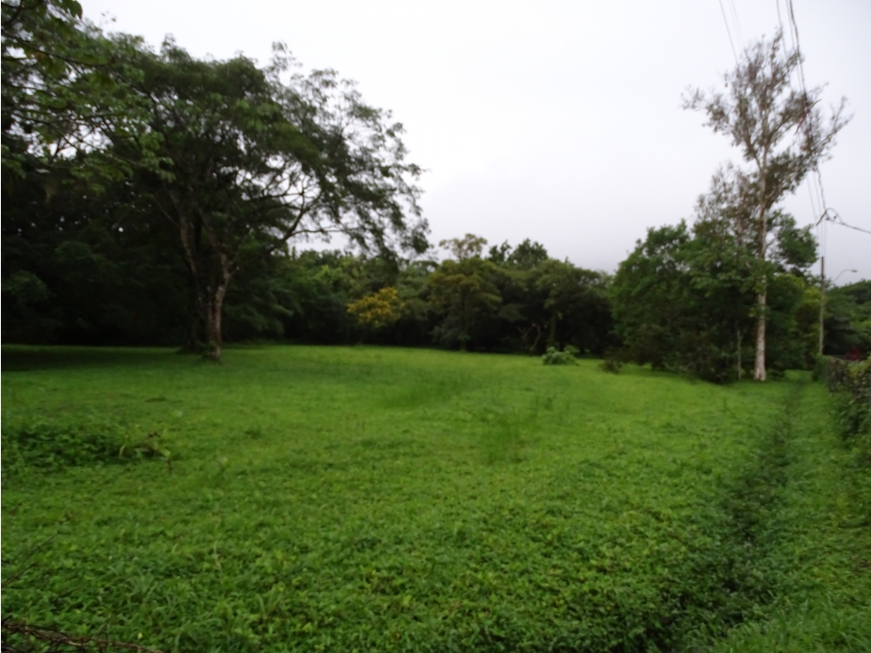 ¡Gran oportunidad de terrenos en El Valle de Antón! - 2