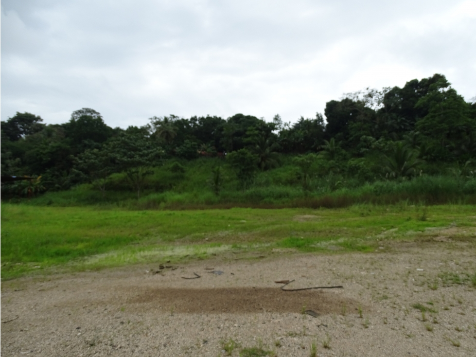 Terreno en Colón para desarrollo logístico, comercial o residencial - 3