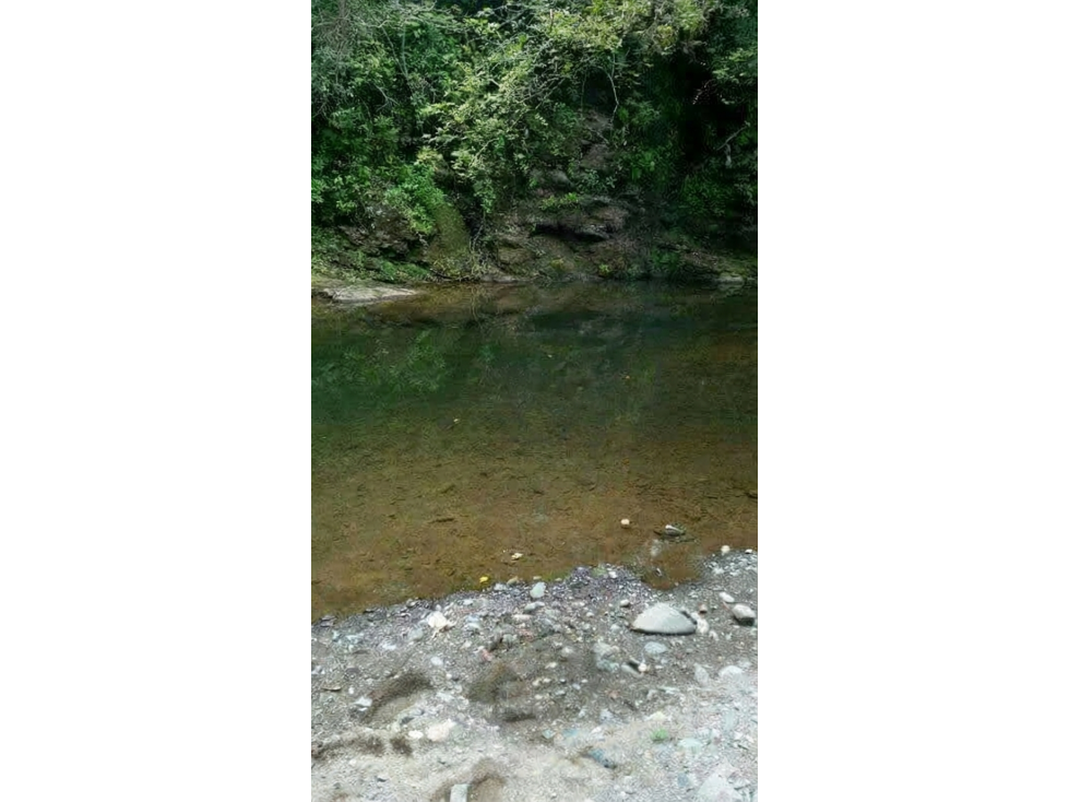 Venta de Espectacular Finca de 25 Hectáreas en Tanara! Panamá - 3